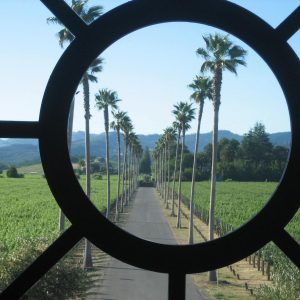 Visti to Round Pond Winery, Rutherford, CA